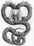 serpentverysmall.jpg (6326 bytes)